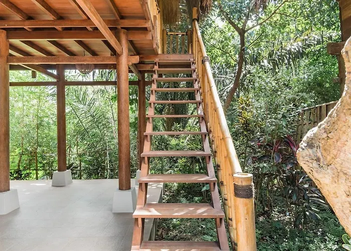 Lush Bamboo Near