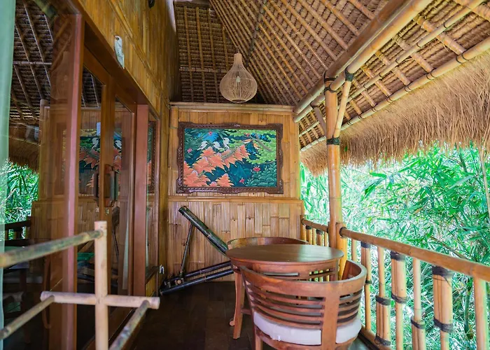 Lush Bamboo Near *