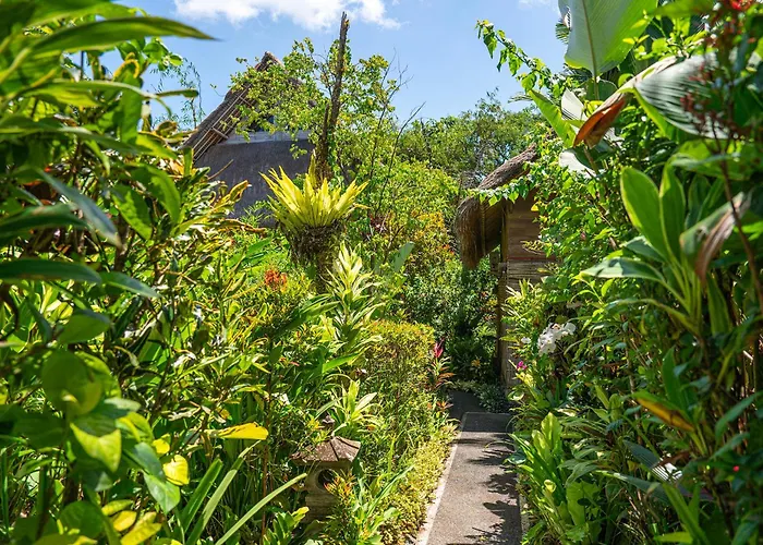 Lush Bamboo Near Villa *